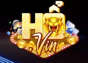 ảnh đại diện ho vin